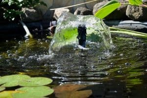 Read more about the article Garden Pond Aeration