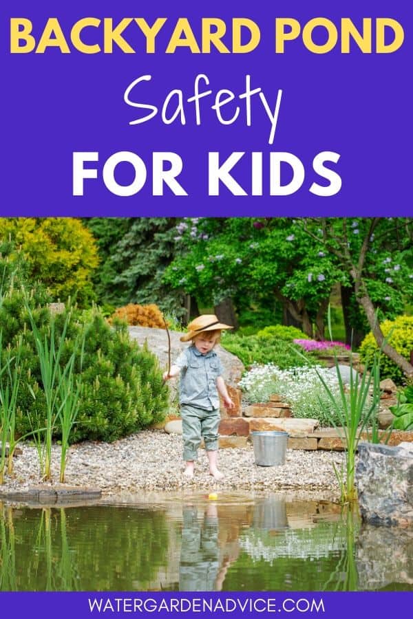 Backyard pond safety for kids