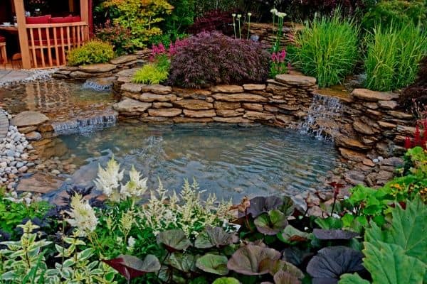 Pond Landscaping Ideas Water Garden, Best Plants For Around Ponds
