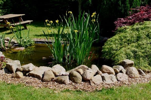 Read more about the article How To Build A New Backyard Pond