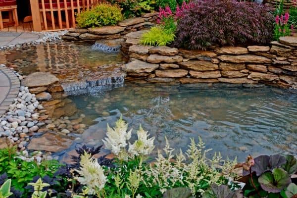 How To Keep Pond Water Clear, How To Keep Outdoor Fish Pond Clean