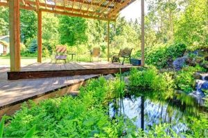 Read more about the article 5 Backyard Pond Cover Ideas