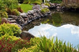 Read more about the article How To Stop Your Pond Overflowing
